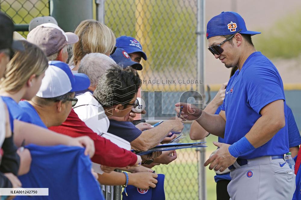 Baseball: MLB spring training