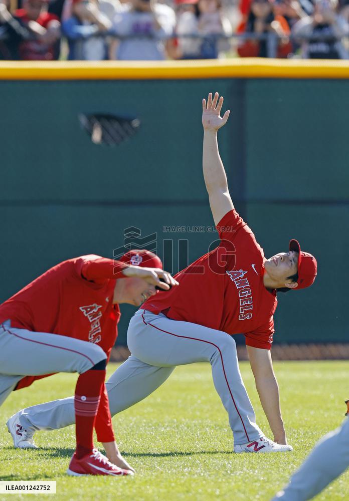 Baseball: MLB spring training