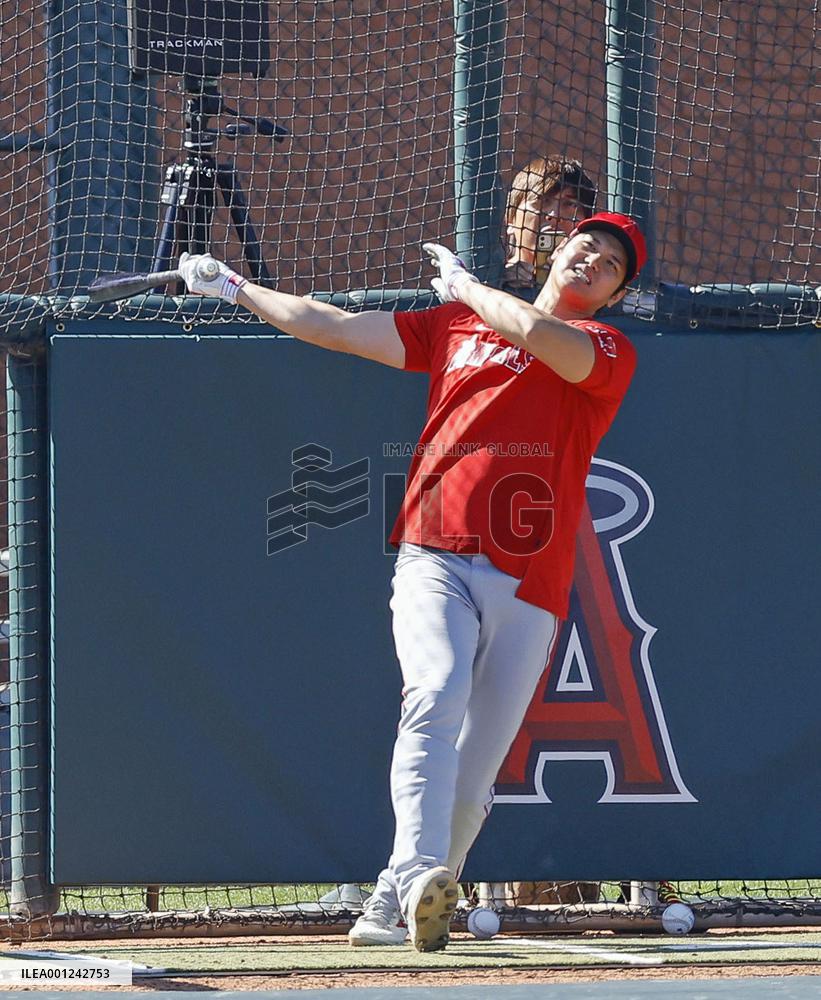 Baseball: MLB spring training