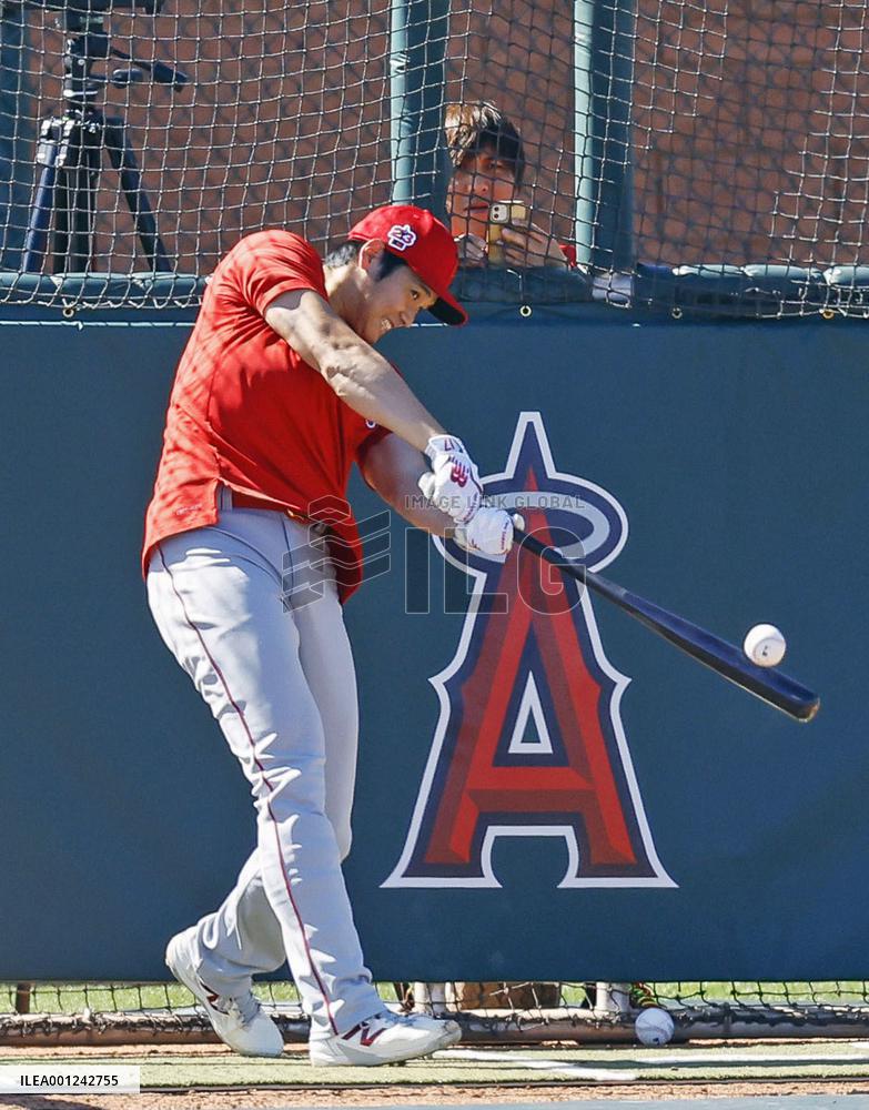 Baseball: MLB spring training