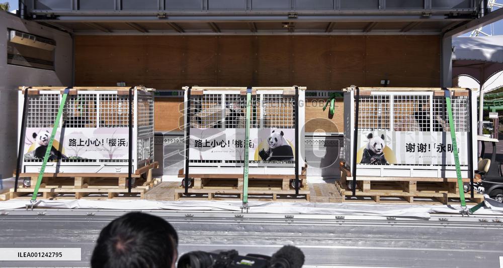 Giant pandas at western Japan zoo