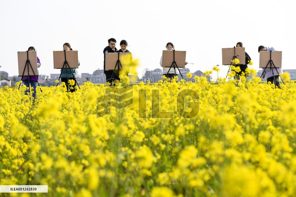 #CHINA-JIANGXI-YICHUN-COLE FLOWERS (CN)