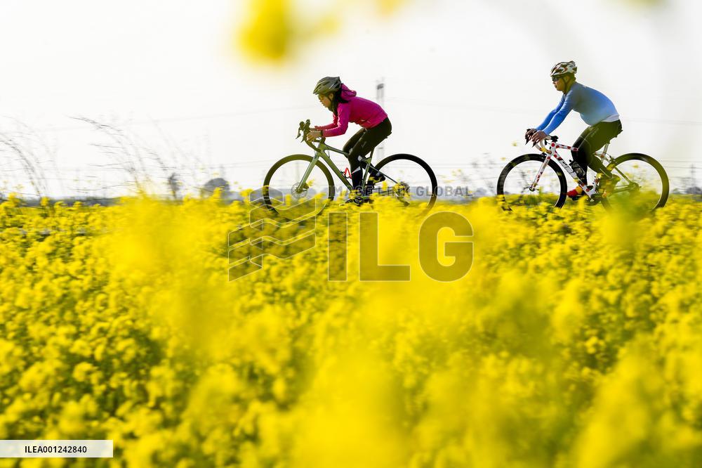 #CHINA-JIANGXI-YICHUN-COLE FLOWERS (CN)