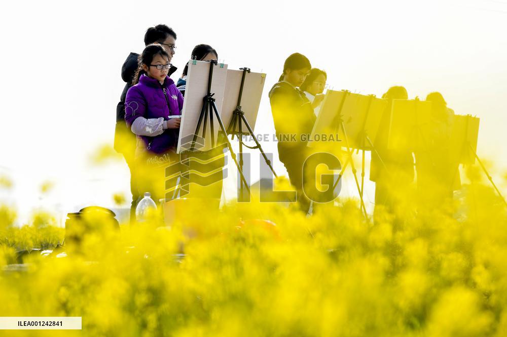 #CHINA-JIANGXI-YICHUN-COLE FLOWERS (CN)