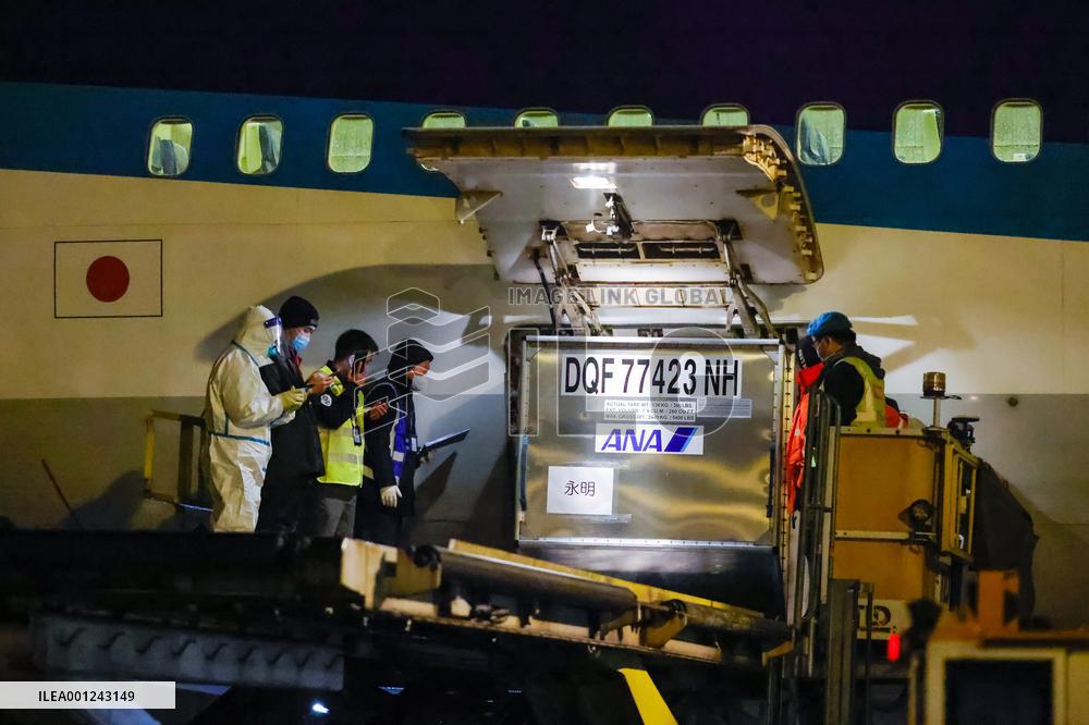 CHINA-SICHUAN-CHENGDU-GIANT PANDA-ARRIVAL (CN)