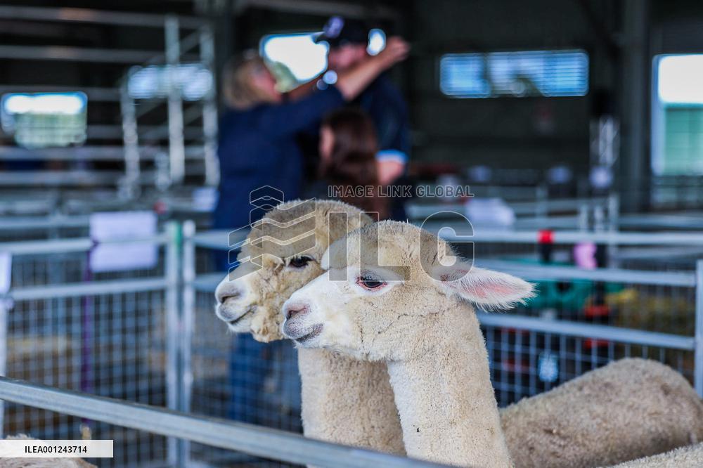 AUSTRALIA-CANBERRA-ROYAL CANBERRA SHOW