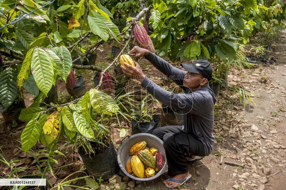 INDONESIA-YOGYAKARTA-CHOCOLATE PRODUCTS