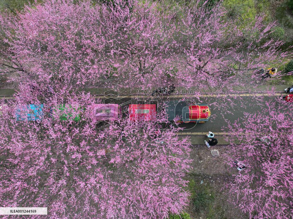 #CHINA-SPRING-TOURISM (CN)