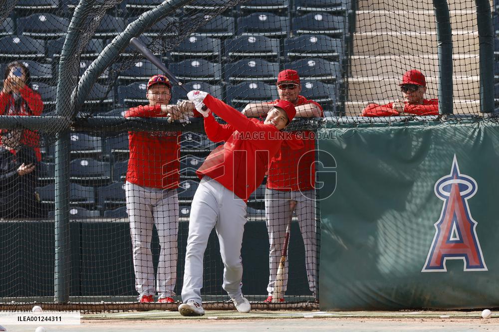 Baseball: MLB spring training