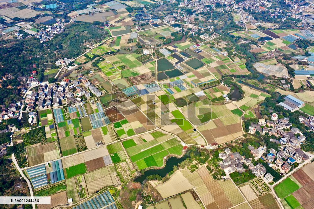 CHINA-FUJIAN-SPRING PLOUGHING (CN)