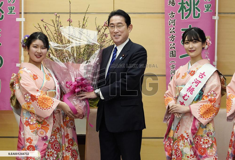 Japan's peach blossom ambassadors