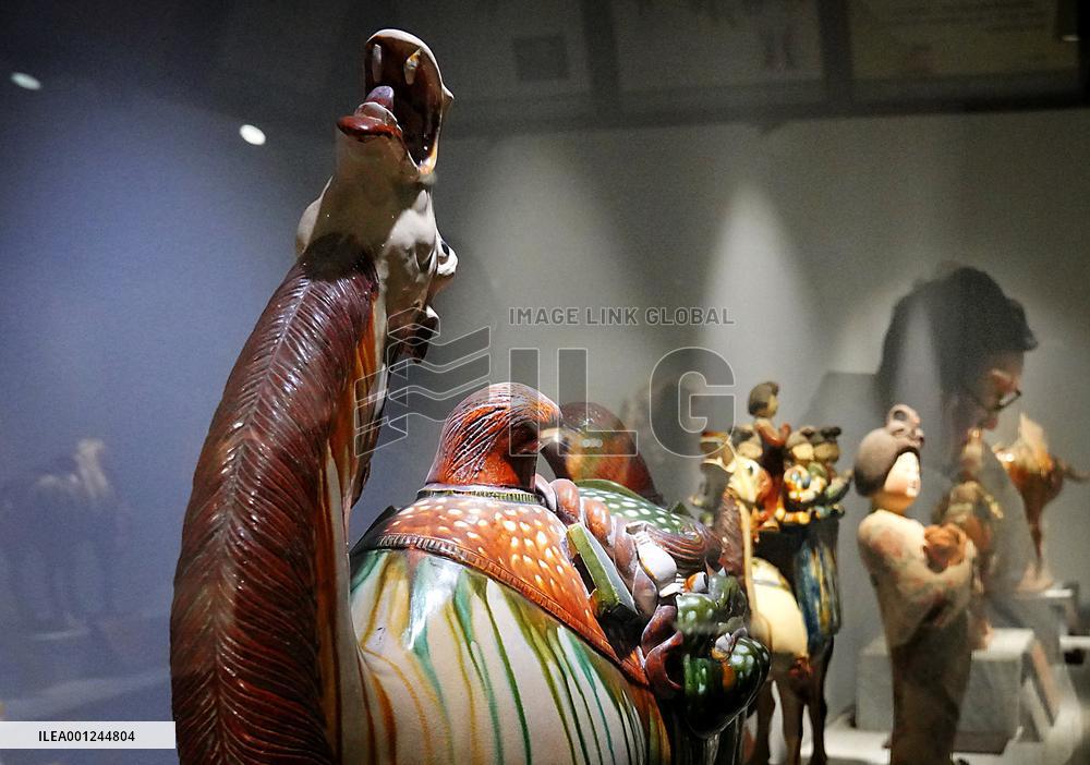 CHINA-HENAN-LUOYANG-CULTURAL AND TOURISM INDUSTRY (CN)