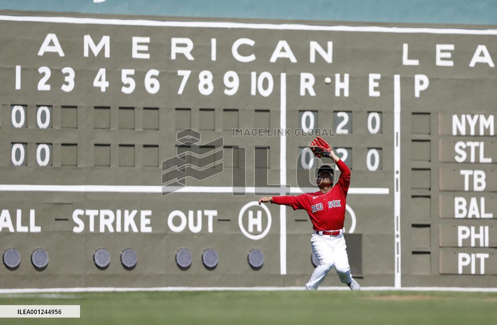Baseball: MLB spring training
