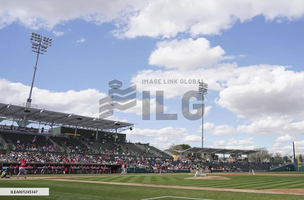Baseball: MLB spring training