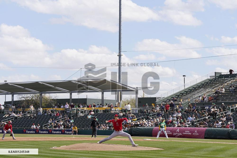 Baseball: MLB spring training