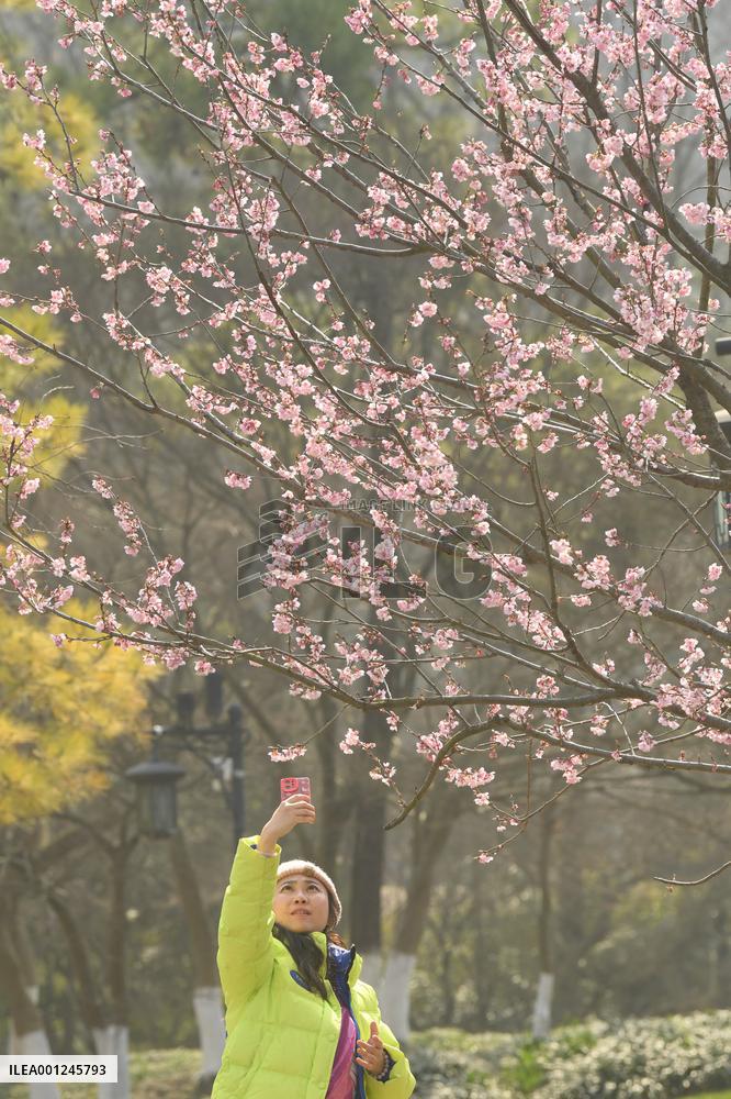 (ZhejiangPictorial)CHINA-ZHEJIANG-SPRING-SCENERY (CN)