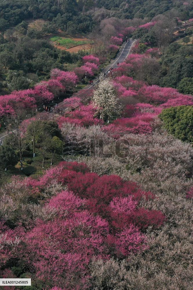 (ZhejiangPictorial)CHINA-ZHEJIANG-SPRING-SCENERY (CN)