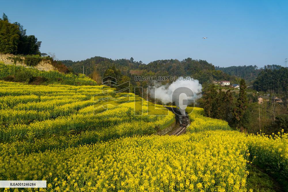 CHINA-SICHUAN-LESHAN-COLE FLOWERS-STEAM TRAIN (CN)