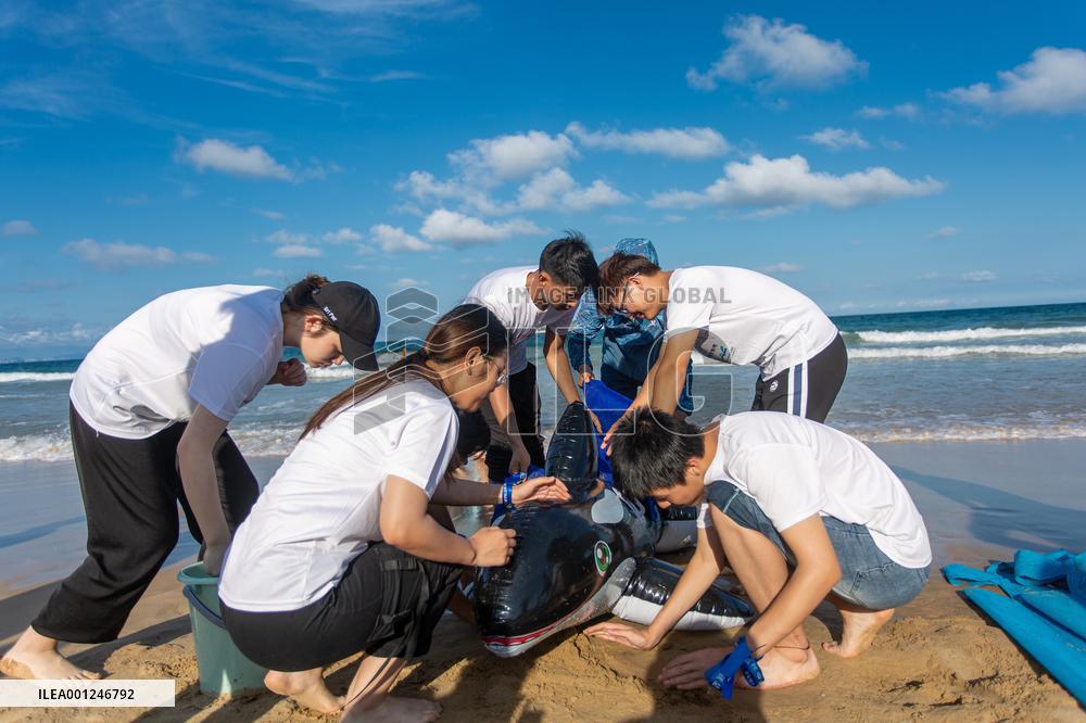 CHINA-HAINAN-MARINE WILD ANIMAL-PROTECTION (CN)