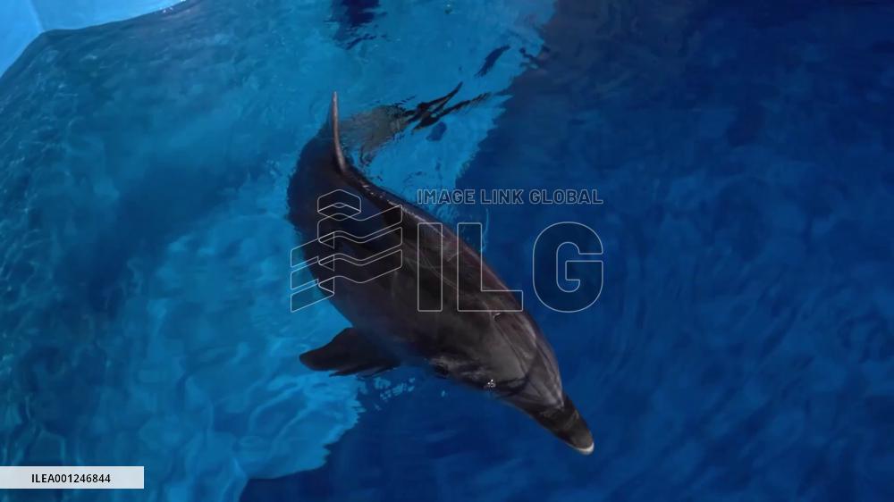 Guardian of marine species in China's Hainan