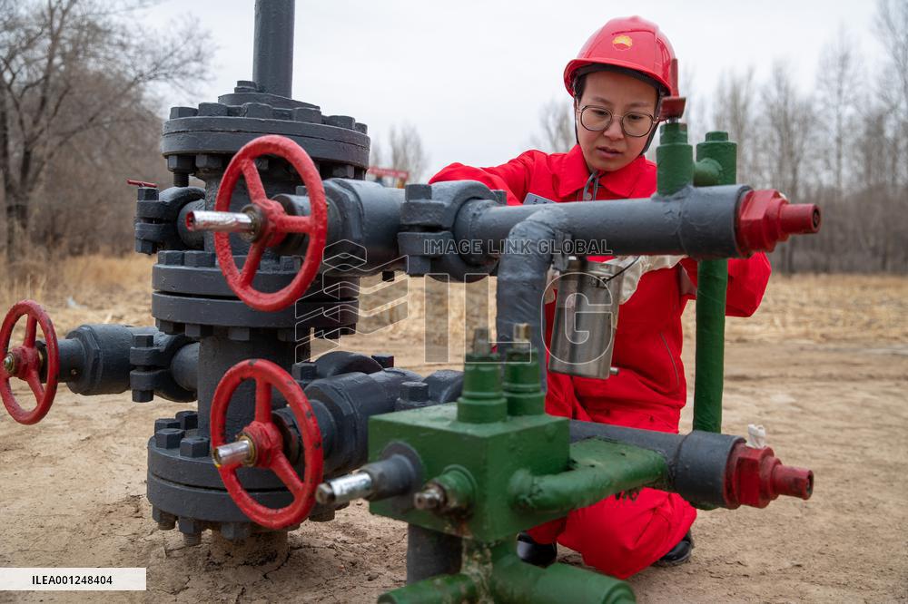 CHINA-HEILONGJIANG-INT'L WOMEN'S DAY-FEMALE WORKERS (CN)