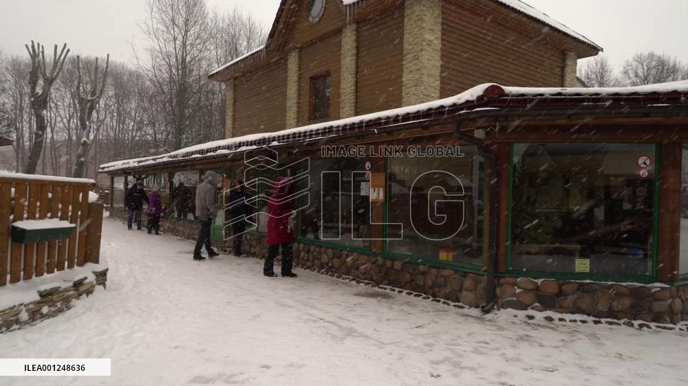 Zoo in Russia's St. Petersburg hosts event for animal mothers