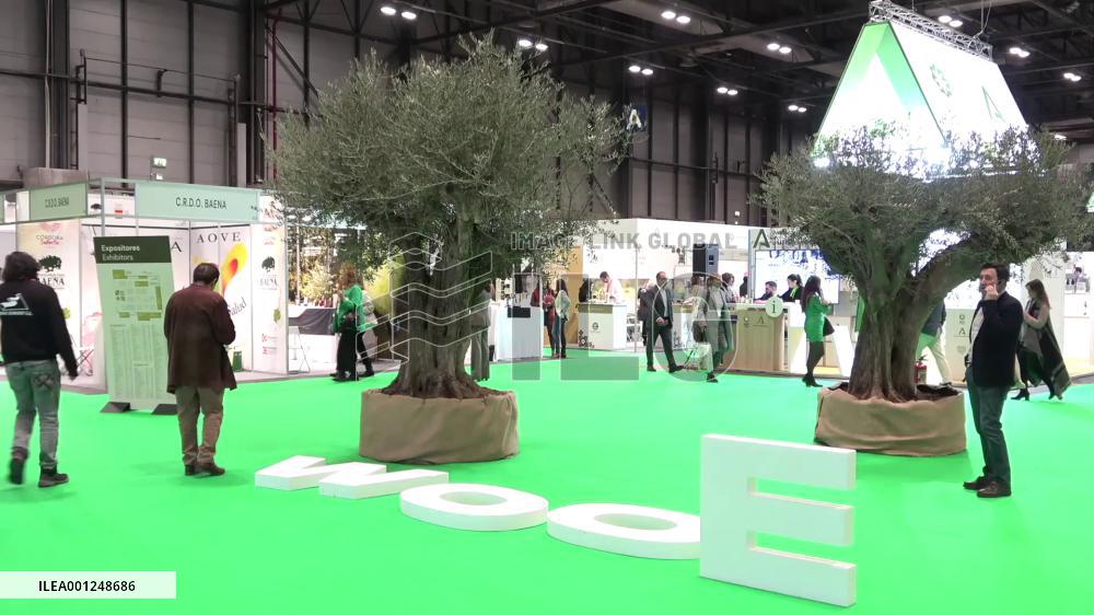 Spanish olive oil producers keen on Chinese market