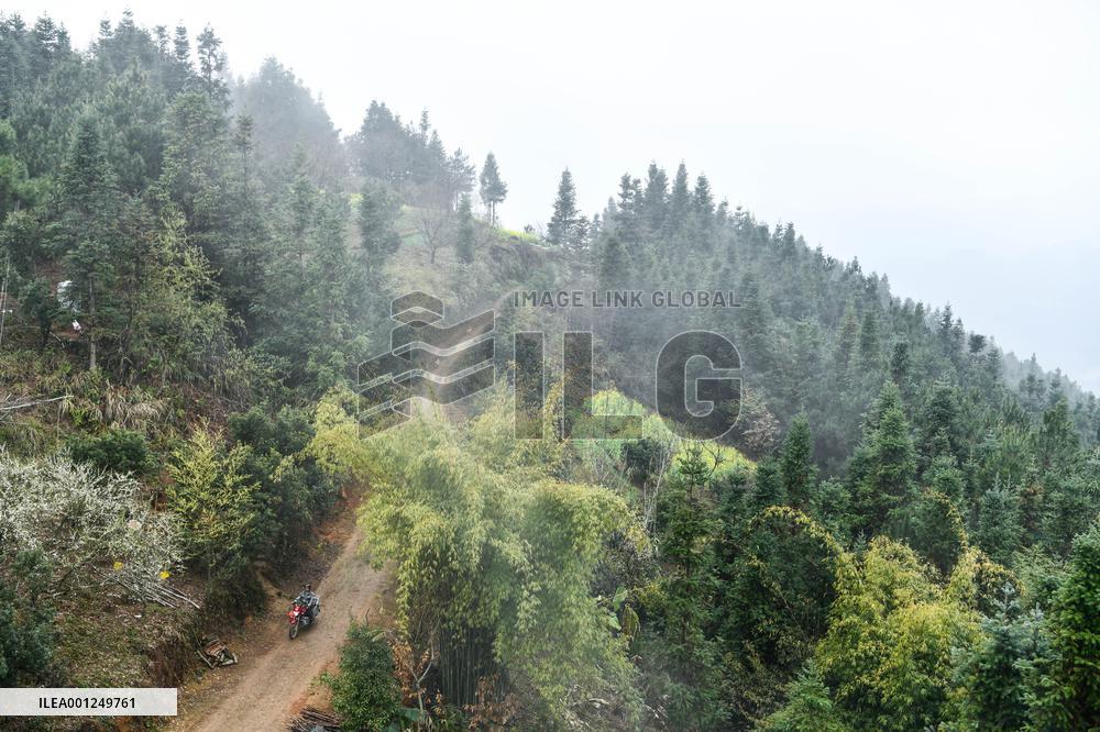 CHINA-GUIZHOU-RONGJIANG-FIRE LOOKOUT(CN)