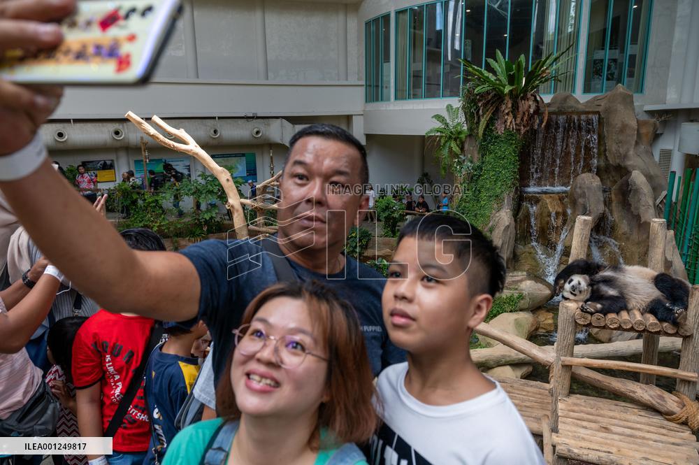 MALAYSIA-KUALA LUMPUR-PANDA