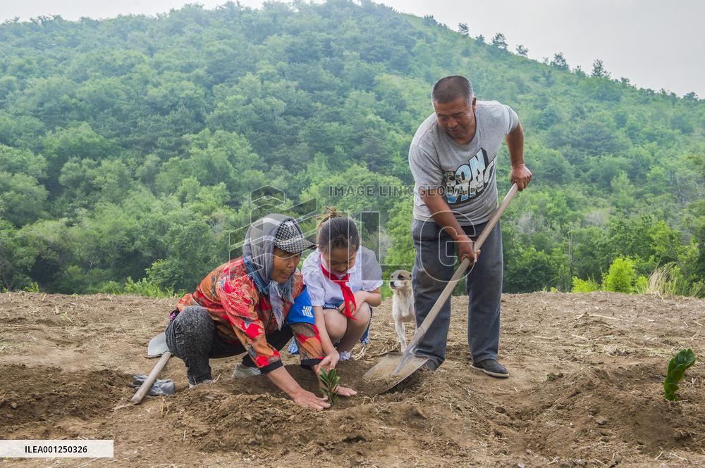 CHINA-LIAONING-JINZHOU-PEASANT COUPLE-ENVIRONMENTAL PROTECTION (CN)