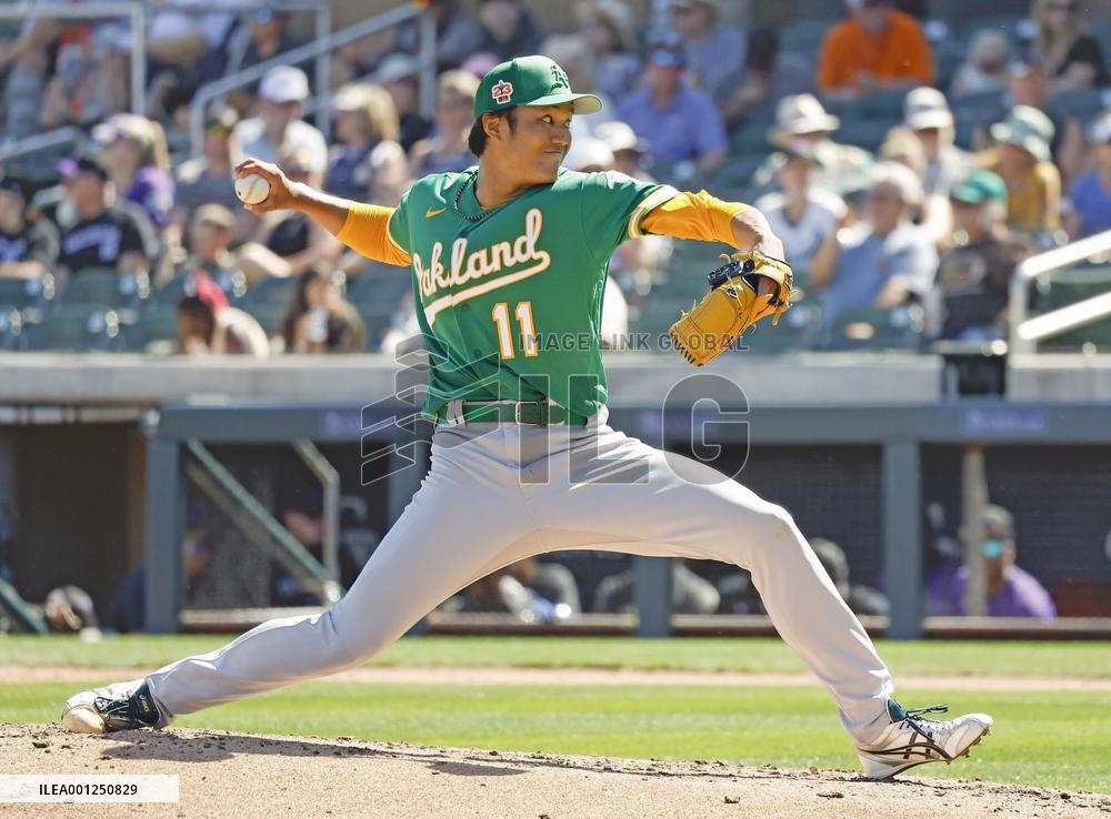 Baseball: MLB spring training