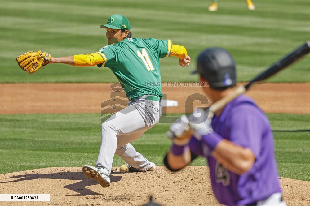 Baseball: MLB spring training