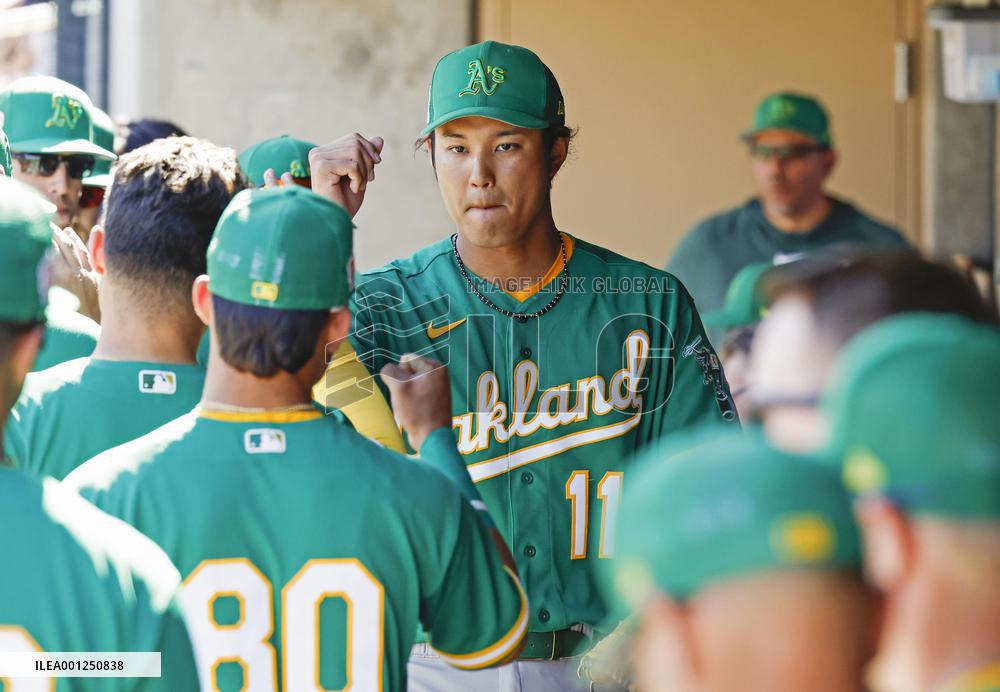 Baseball: MLB spring training