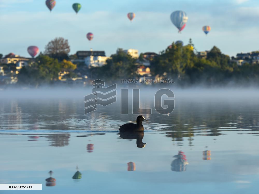 NEW ZEALAND-HAMILTON-HOT-AIR BALLOON FESTIVAL