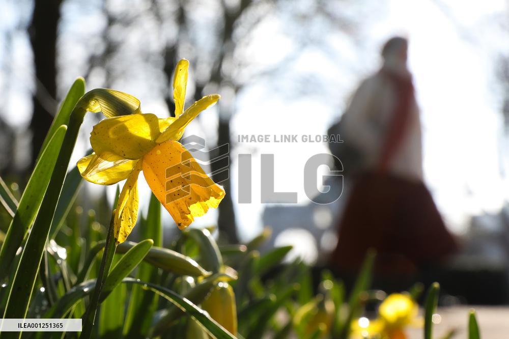 BELGIUM-BRUSSELS-ENVIRONMENT