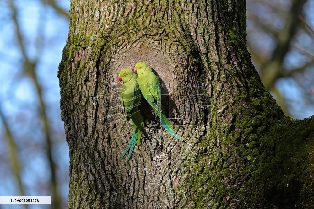 BELGIUM-BRUSSELS-ENVIRONMENT