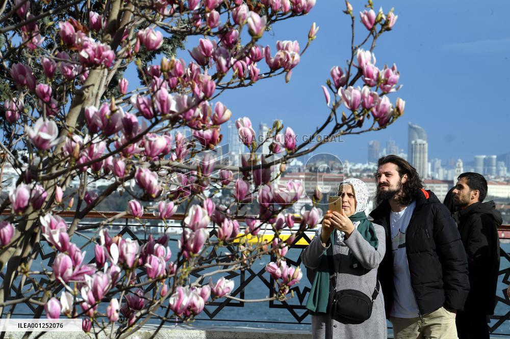 TÜRKIYE-ISTANBUL-SPRING