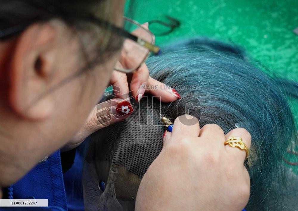 CHINA-HENAN-WIG INDUSTRY (CN)