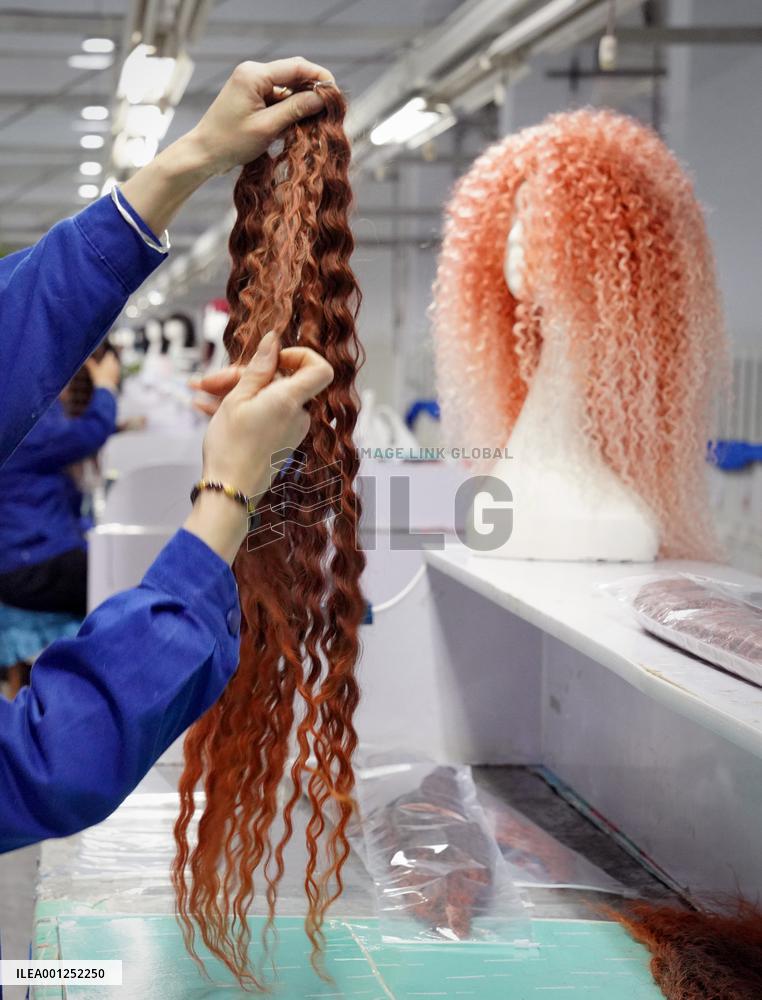 CHINA-HENAN-WIG INDUSTRY (CN)