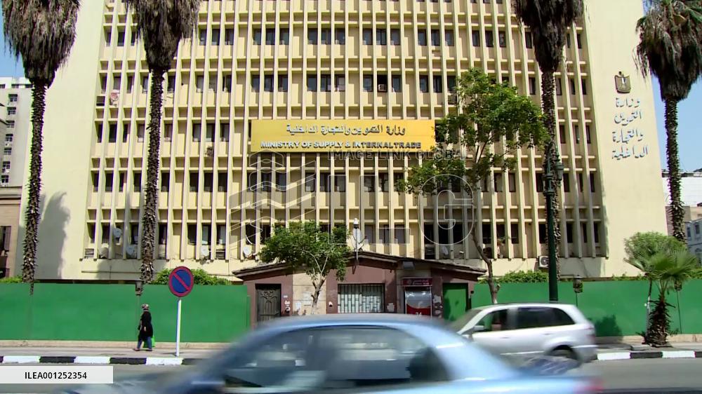 Egypt buys Ukrainian wheat in international tender for shipment