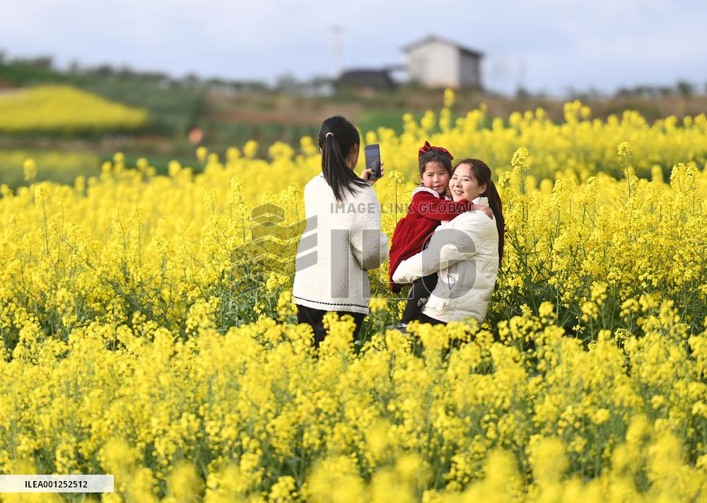 CHINA-SHAANXI-HANZHONG-COLE FLOWERS (CN)