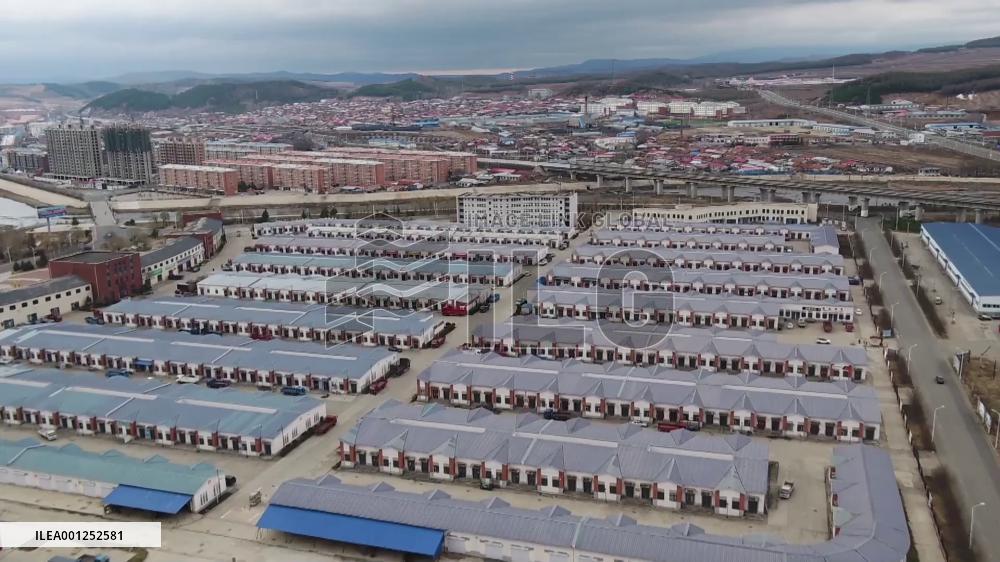 Automatic production line boosts black fungus output in NE China