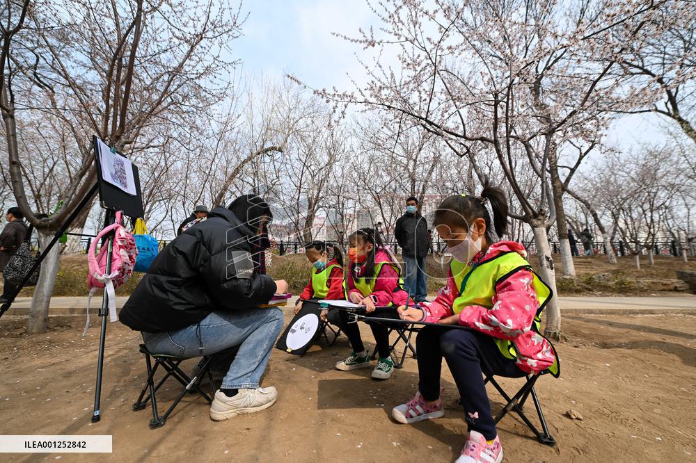 CHINA-TIANJIN-PEACH BLOSSOM (CN)