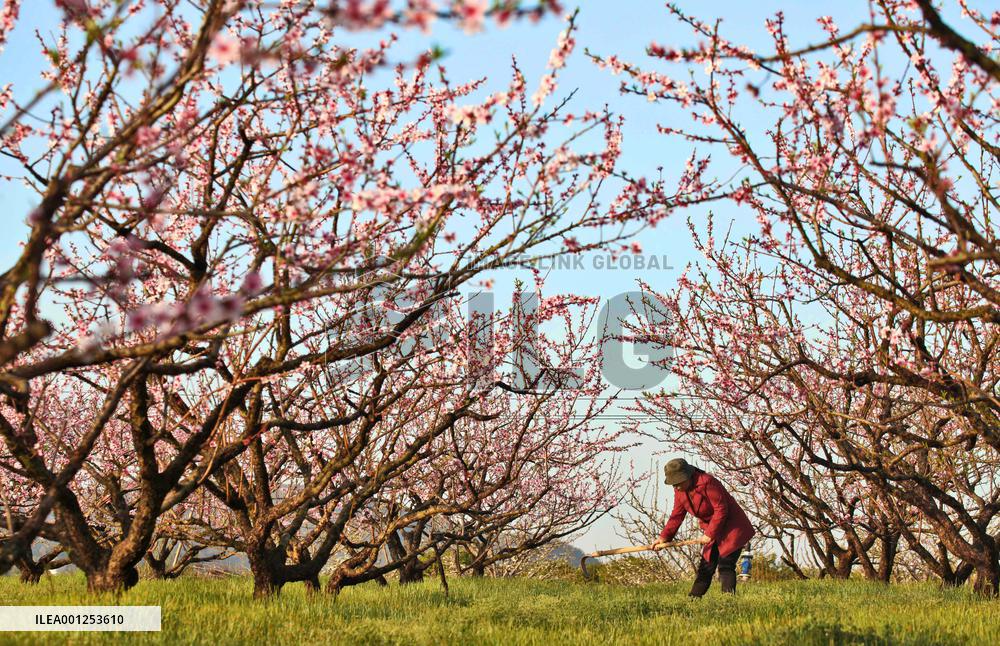 #CHINA-CHUNFEN-SPRING-FARMING (CN)