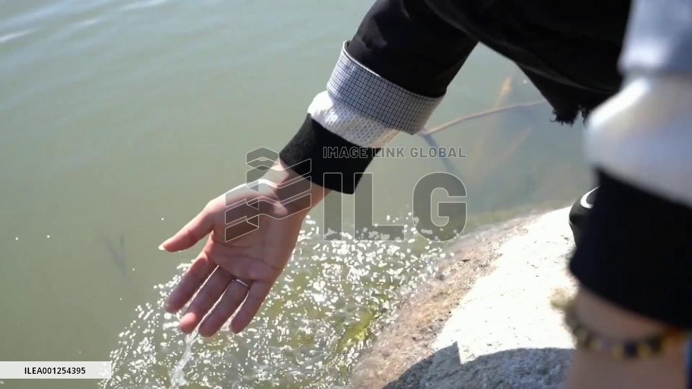 China's "river chief" safeguards water quality of rural river