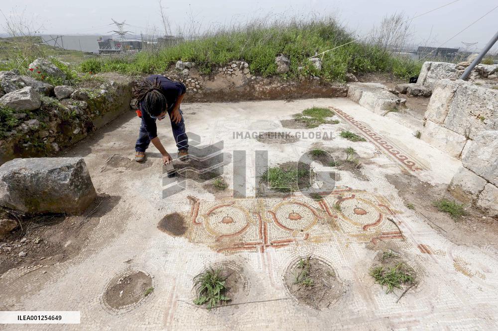 ISRAEL-SHOHAM-ANCIENT MOSAIC FLOOR