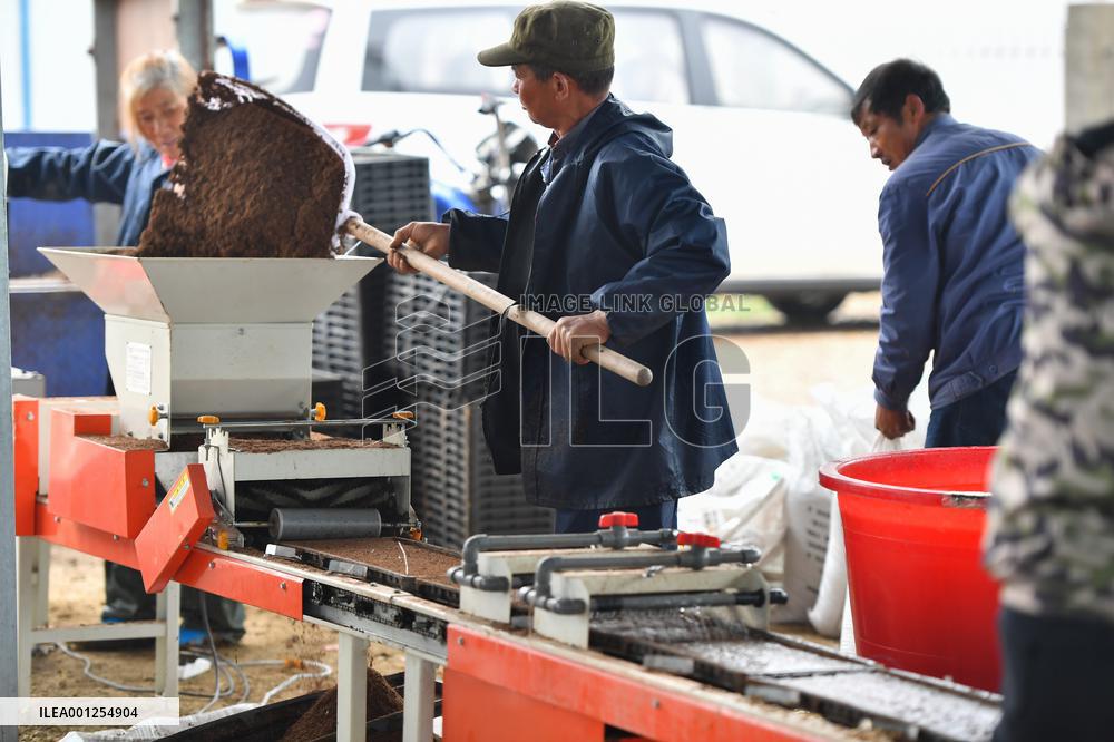 CHINA-HUNAN-XIANGTAN-MODERN AGRICULTURE (CN)