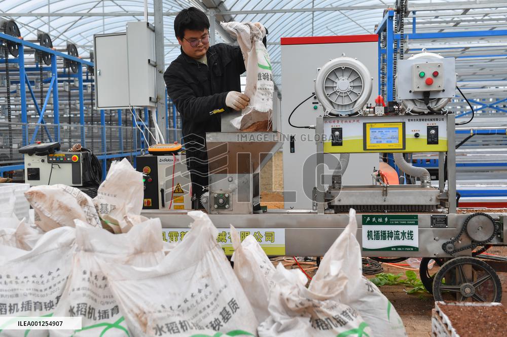 CHINA-HUNAN-XIANGTAN-MODERN AGRICULTURE (CN)