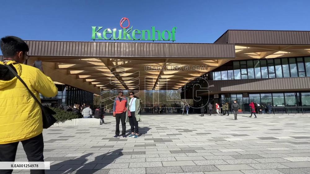 Keukenhof flower garden opens to visitors in Netherlands