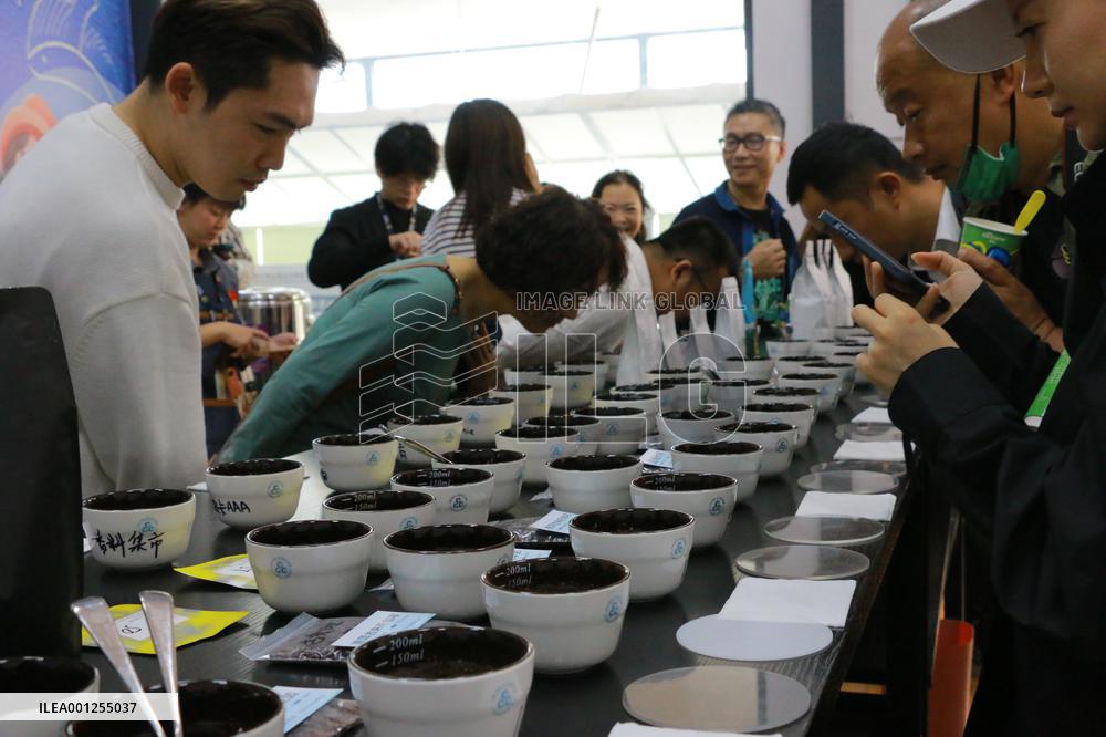 CHINA-YUNNAN-SPECIALTY COFFEE BUSINESS (CN)